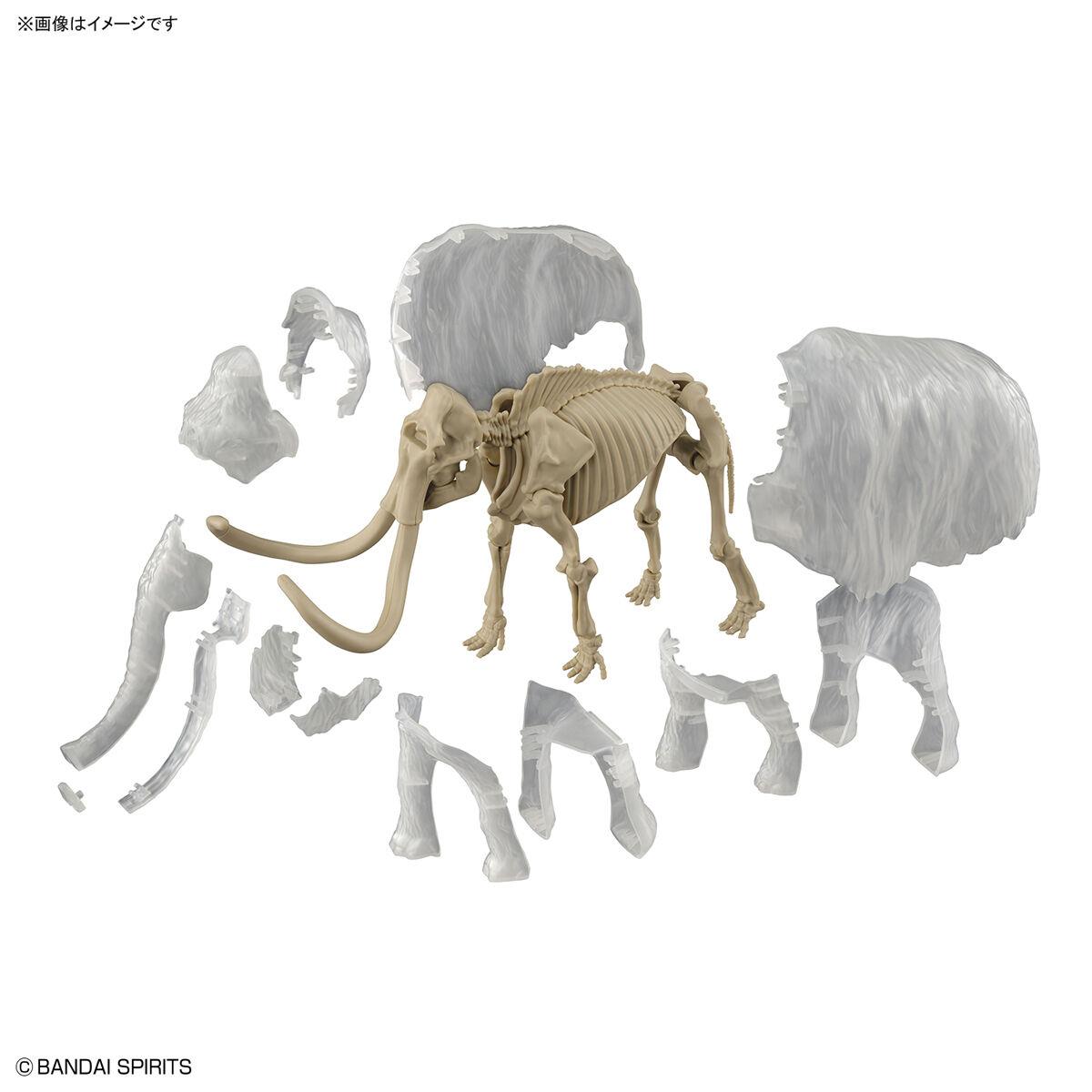 Exploring Lab Nature: Mammoth Model