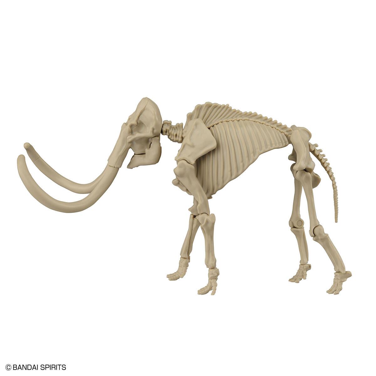 Exploring Lab Nature: Mammoth Model